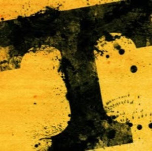 Meet your Posher, Brady